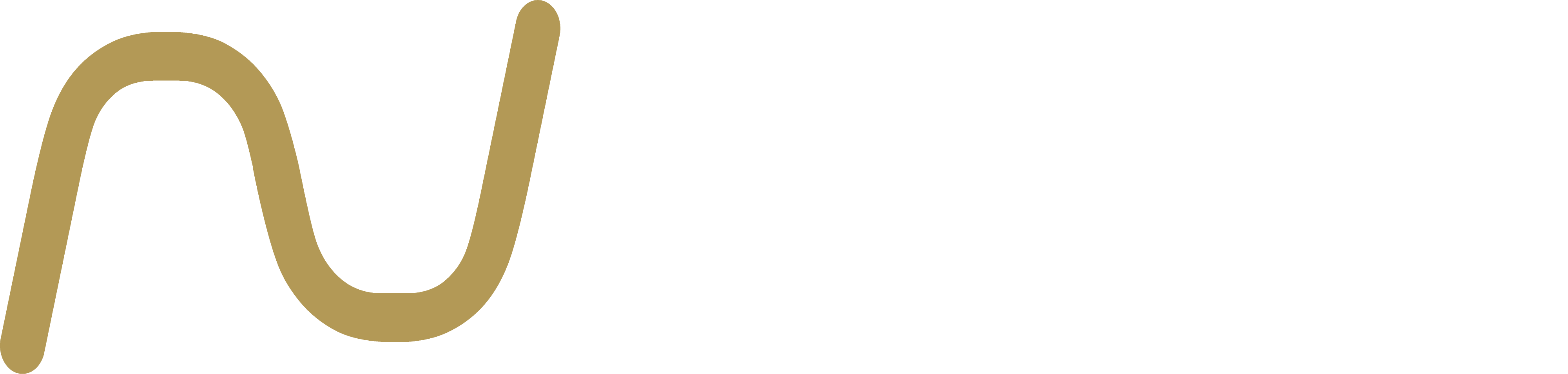 Nuvest